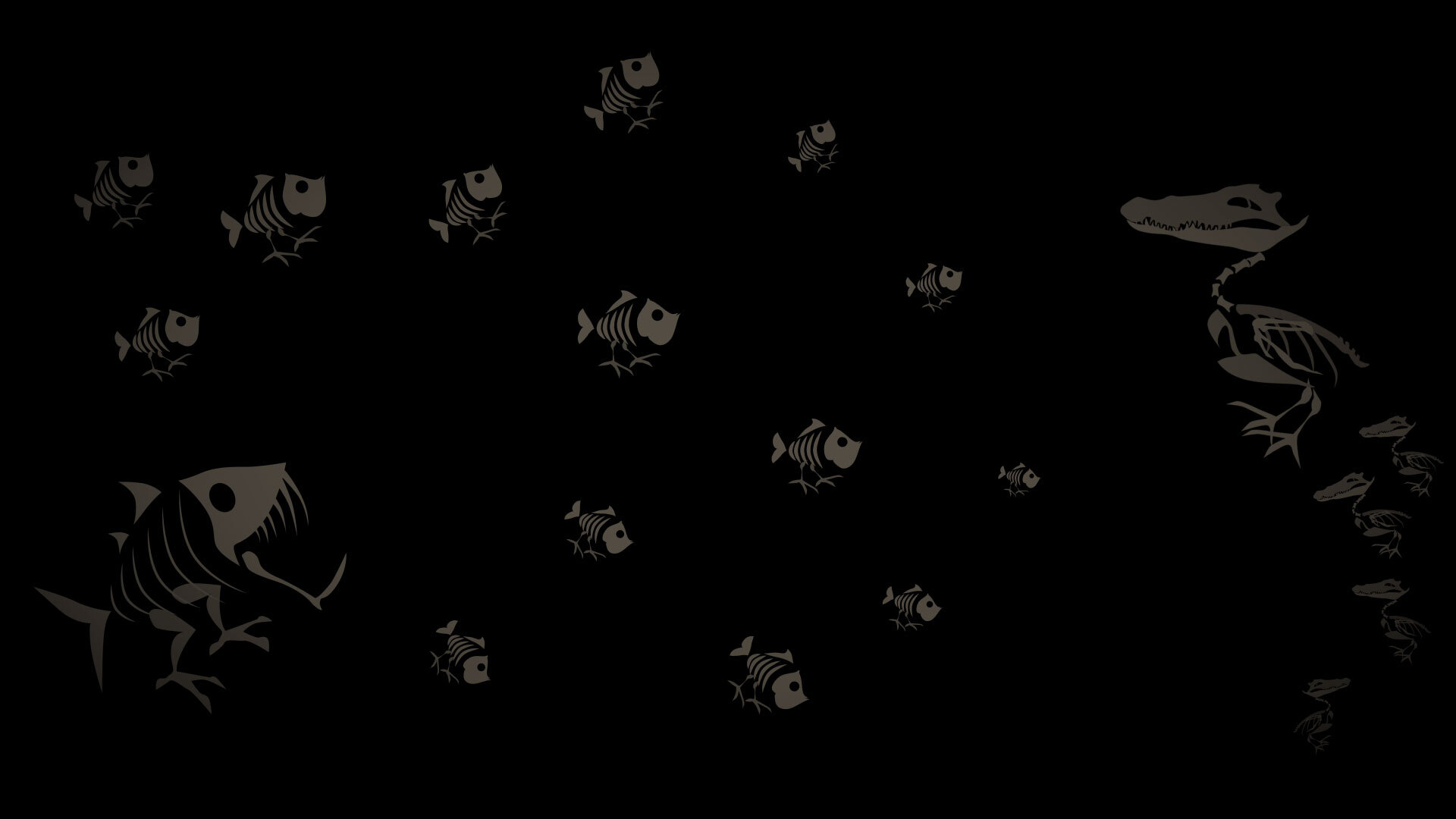 Fossils