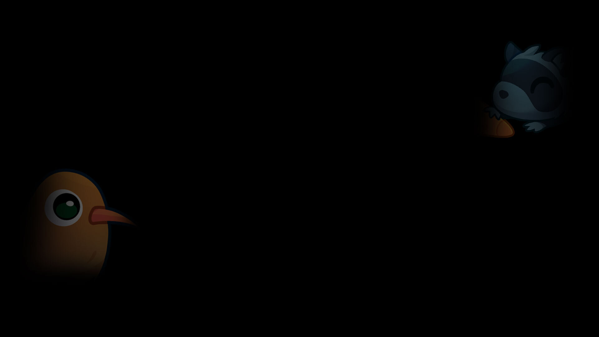 Racoon & Kiwi