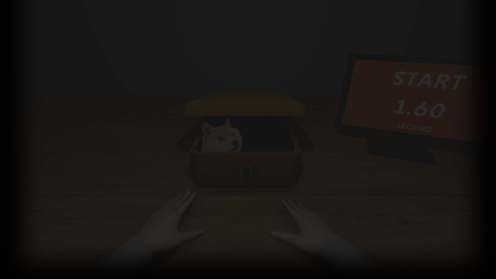 DOG BOX