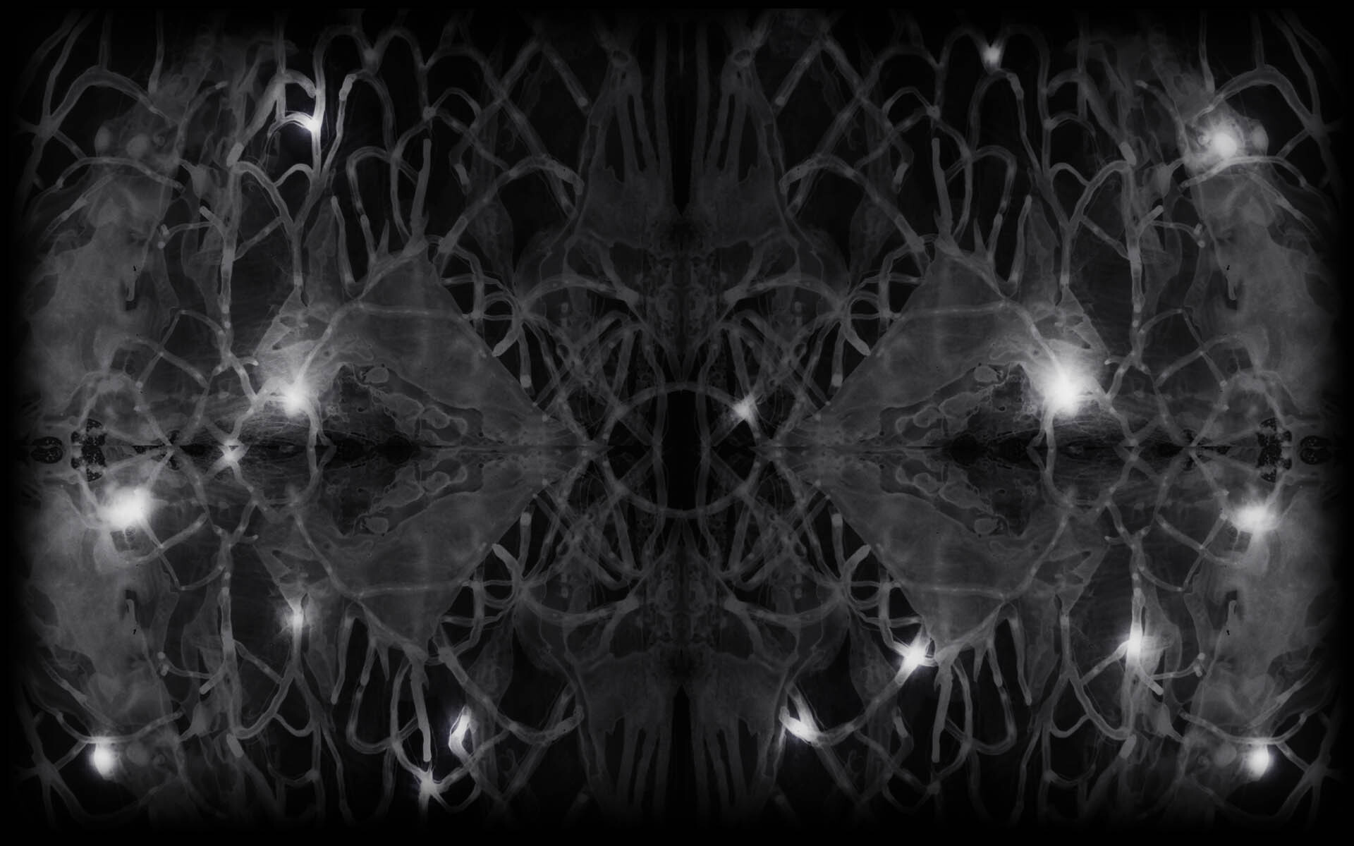 Mind Warp