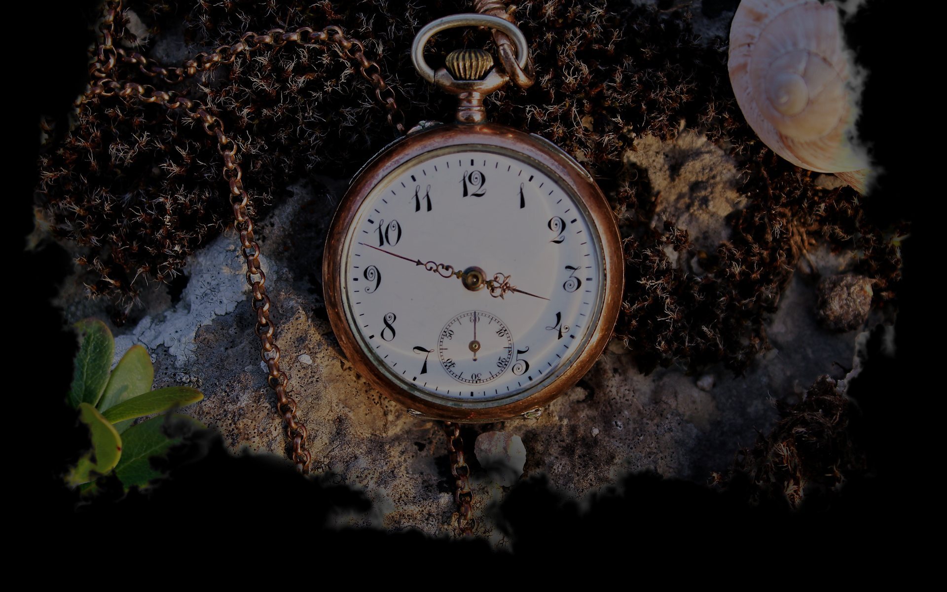 Tick