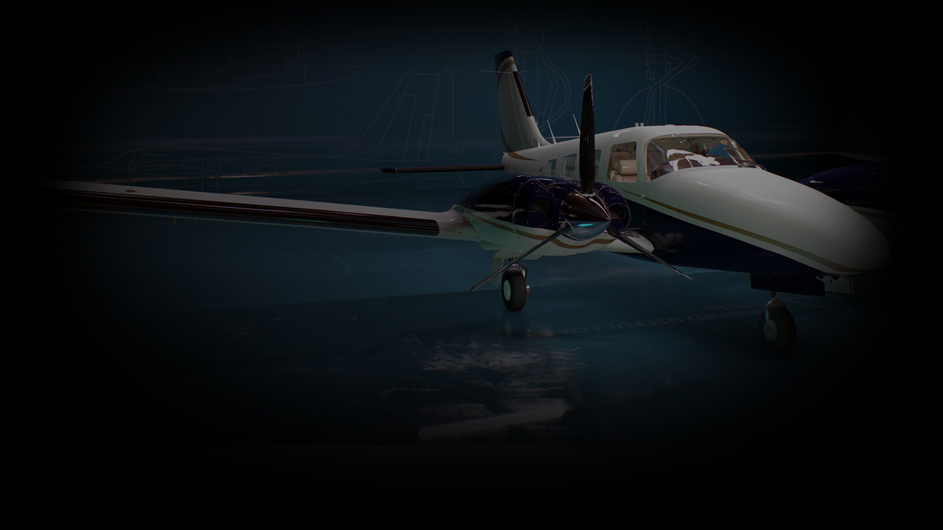 Piper PA-34 Seneca V