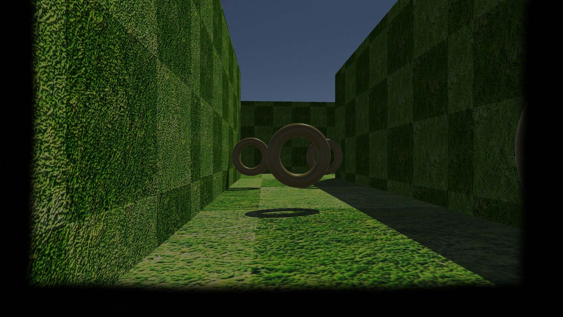 Grass