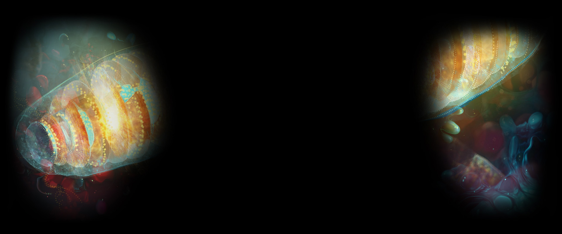 Mitochondrion