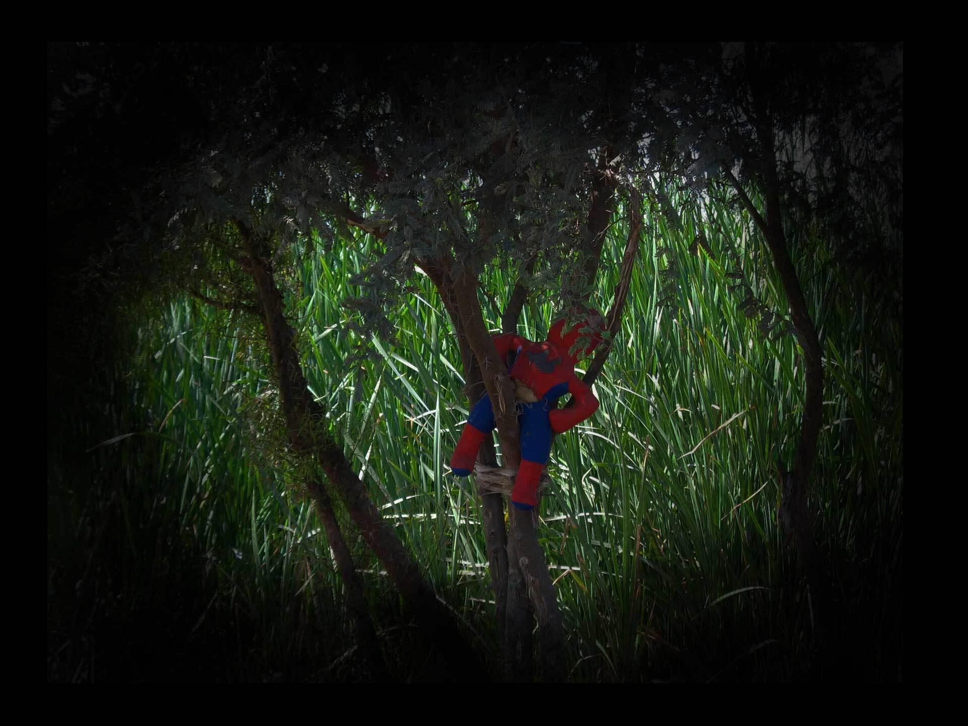Toy in a Tree