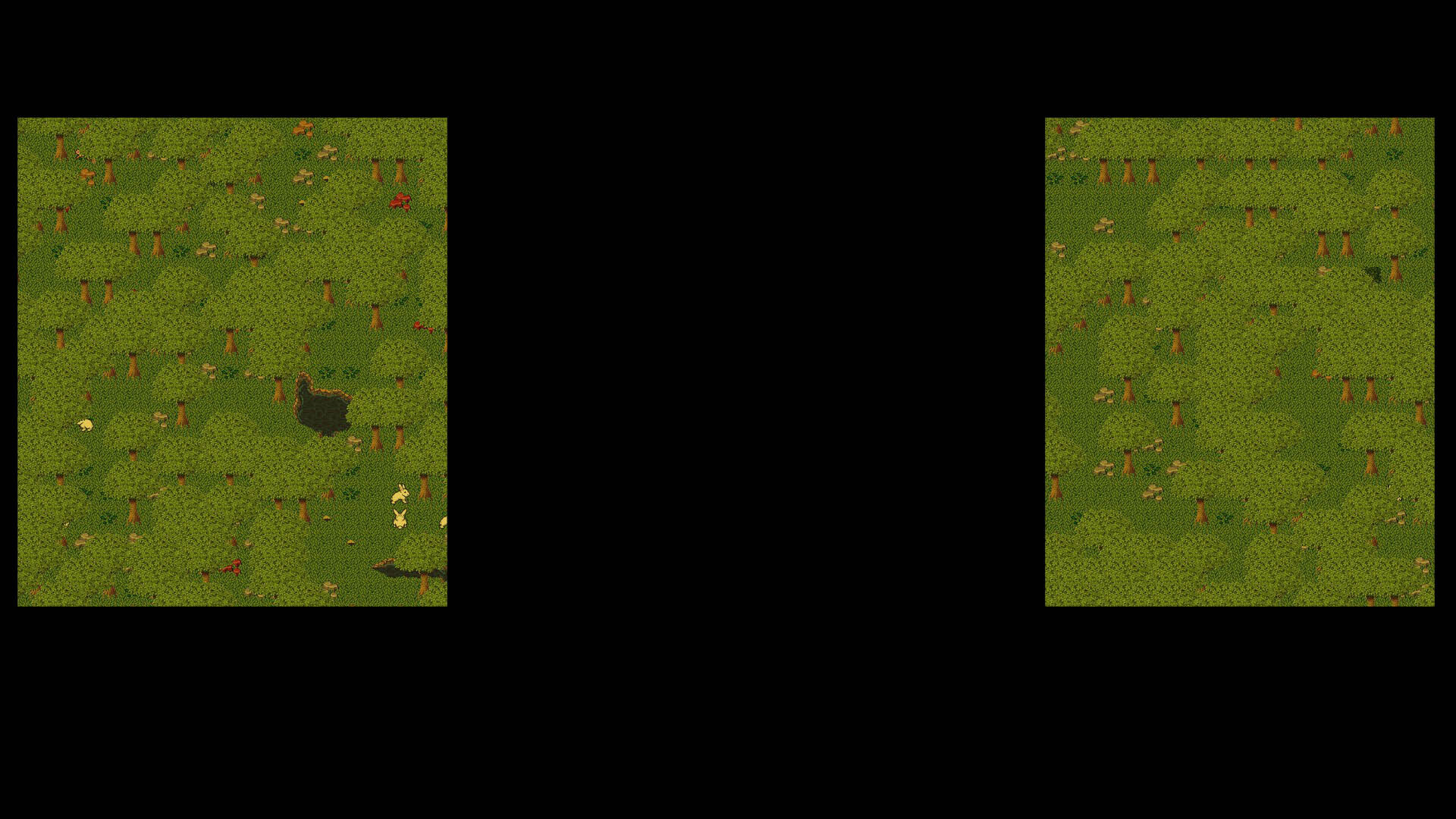 Daytime Forest
