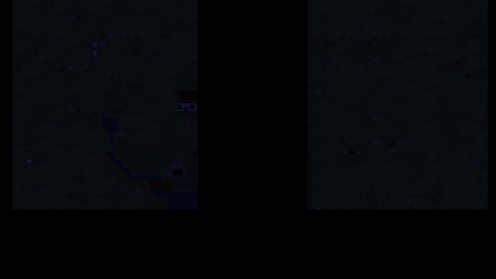 Midnight Forest