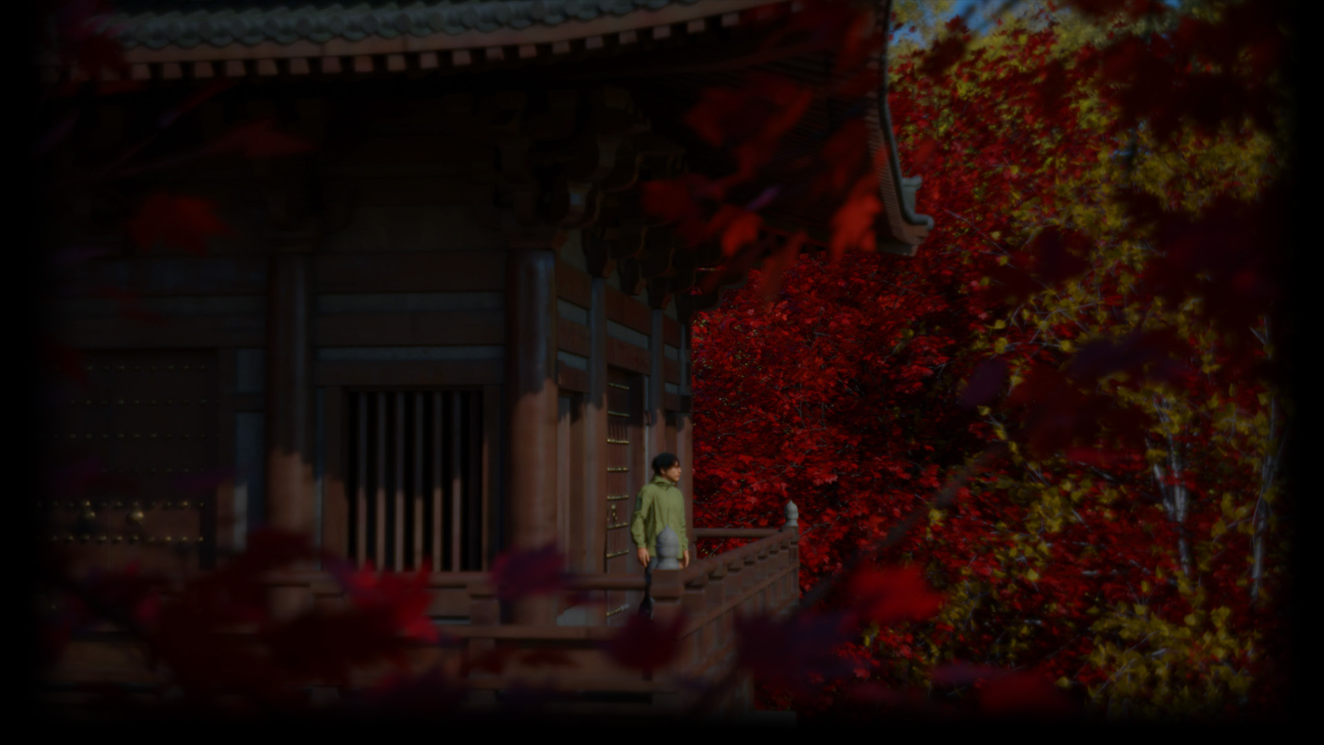 Maple