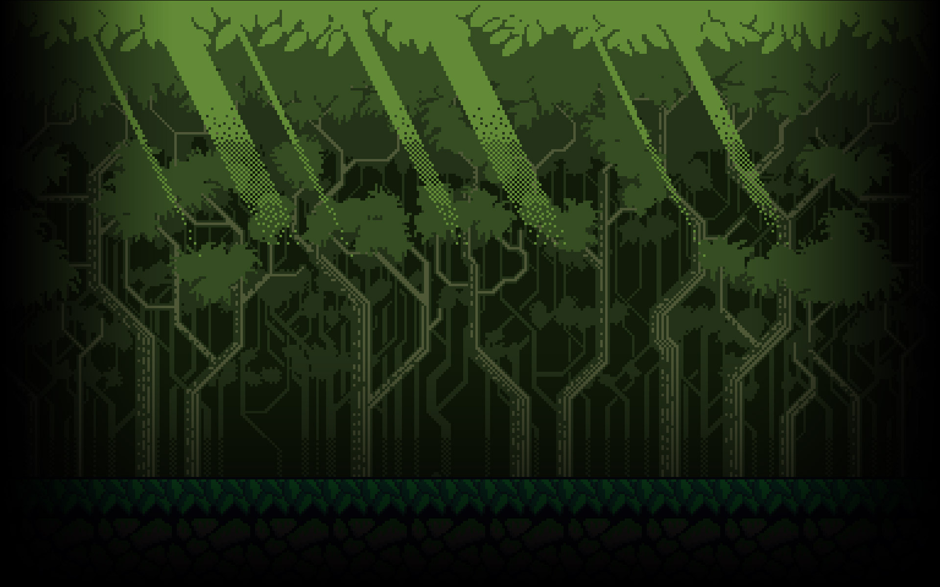 Swamp