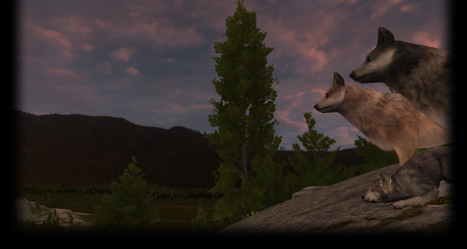 Slough Creek Dusk