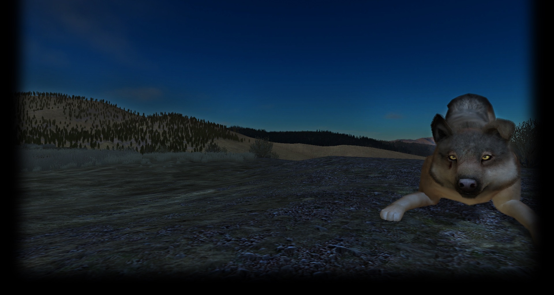 Playbow on Amethyst Mountain