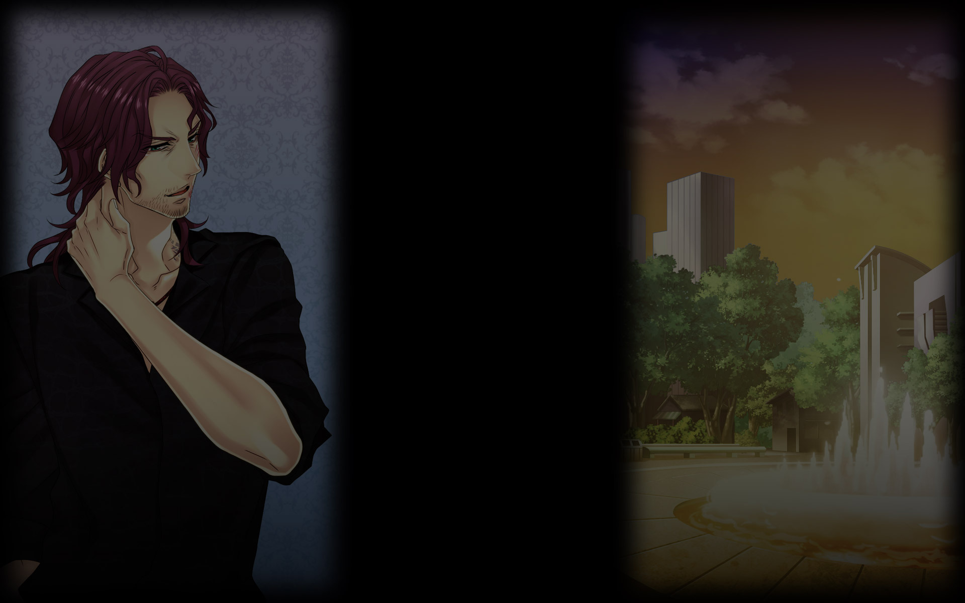 Arashiro Mamoru (Profile Background)