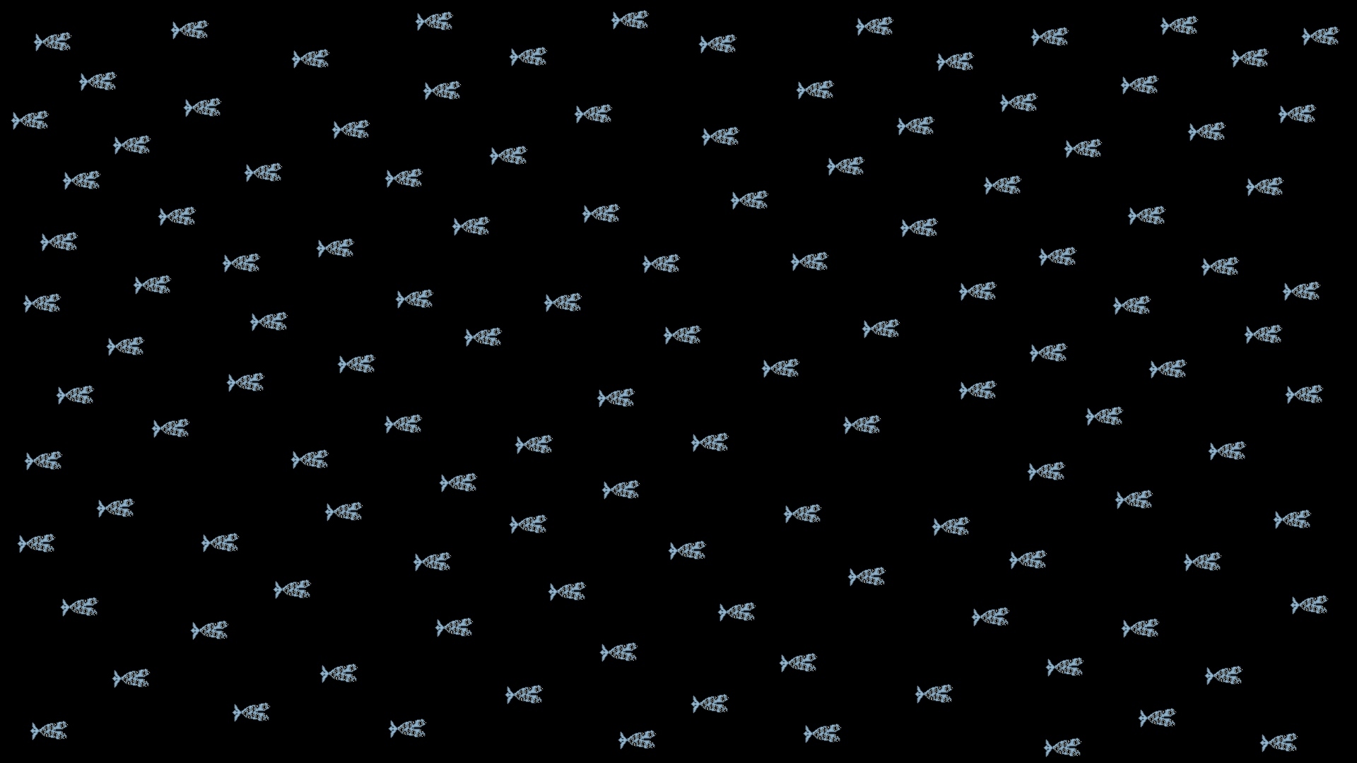 School of Jorucy