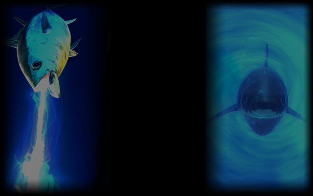 Tuna and Shark