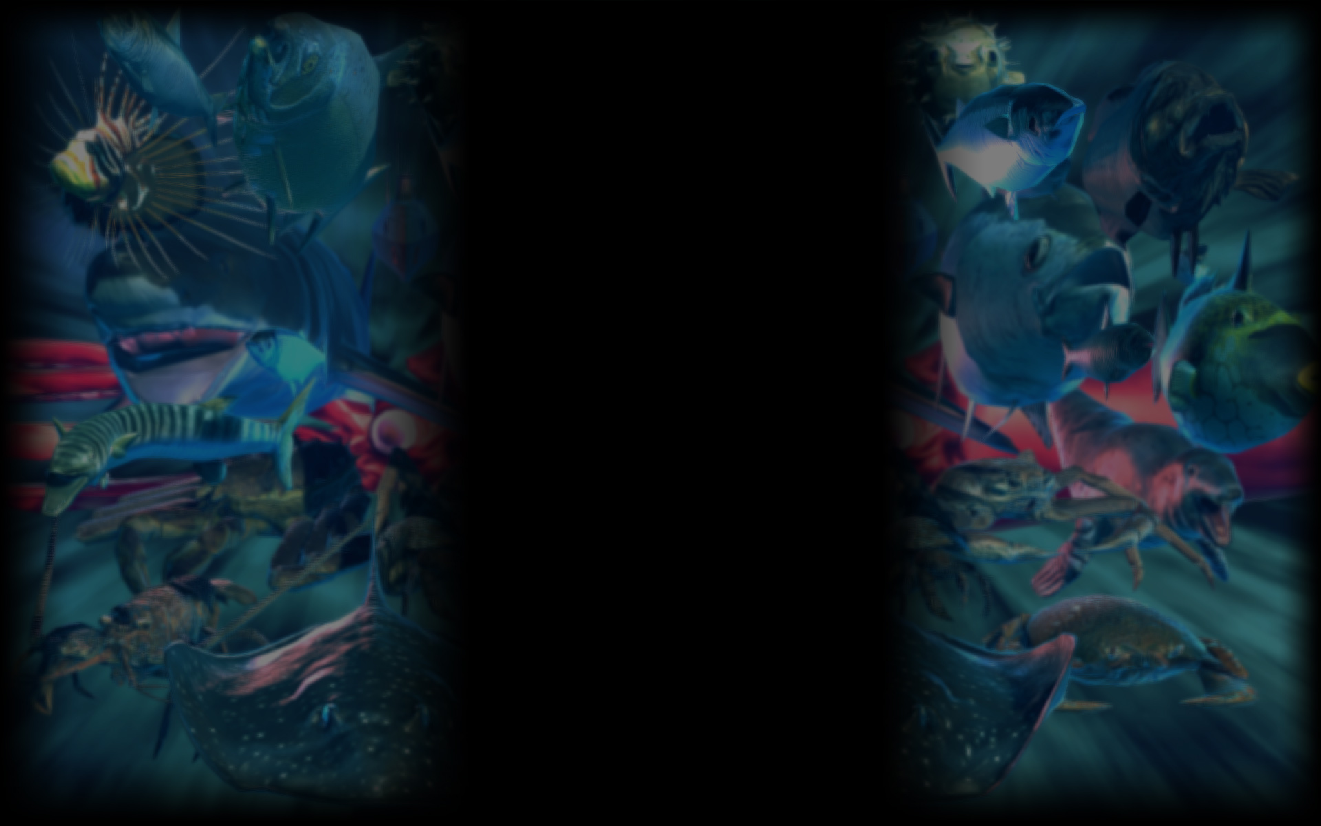 Ace of Seafood (Profile Background)