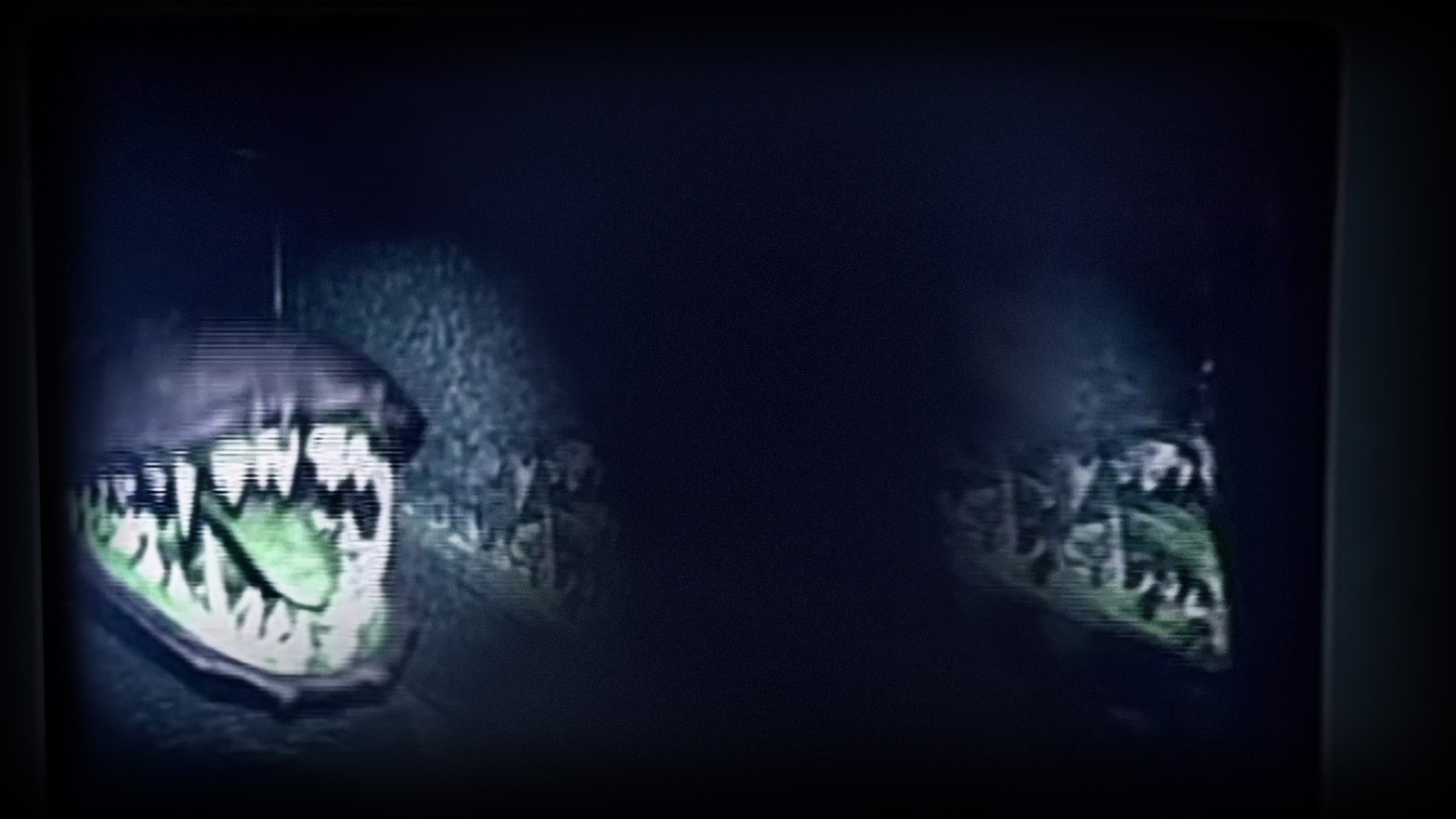 Say cheese (Profile Background)