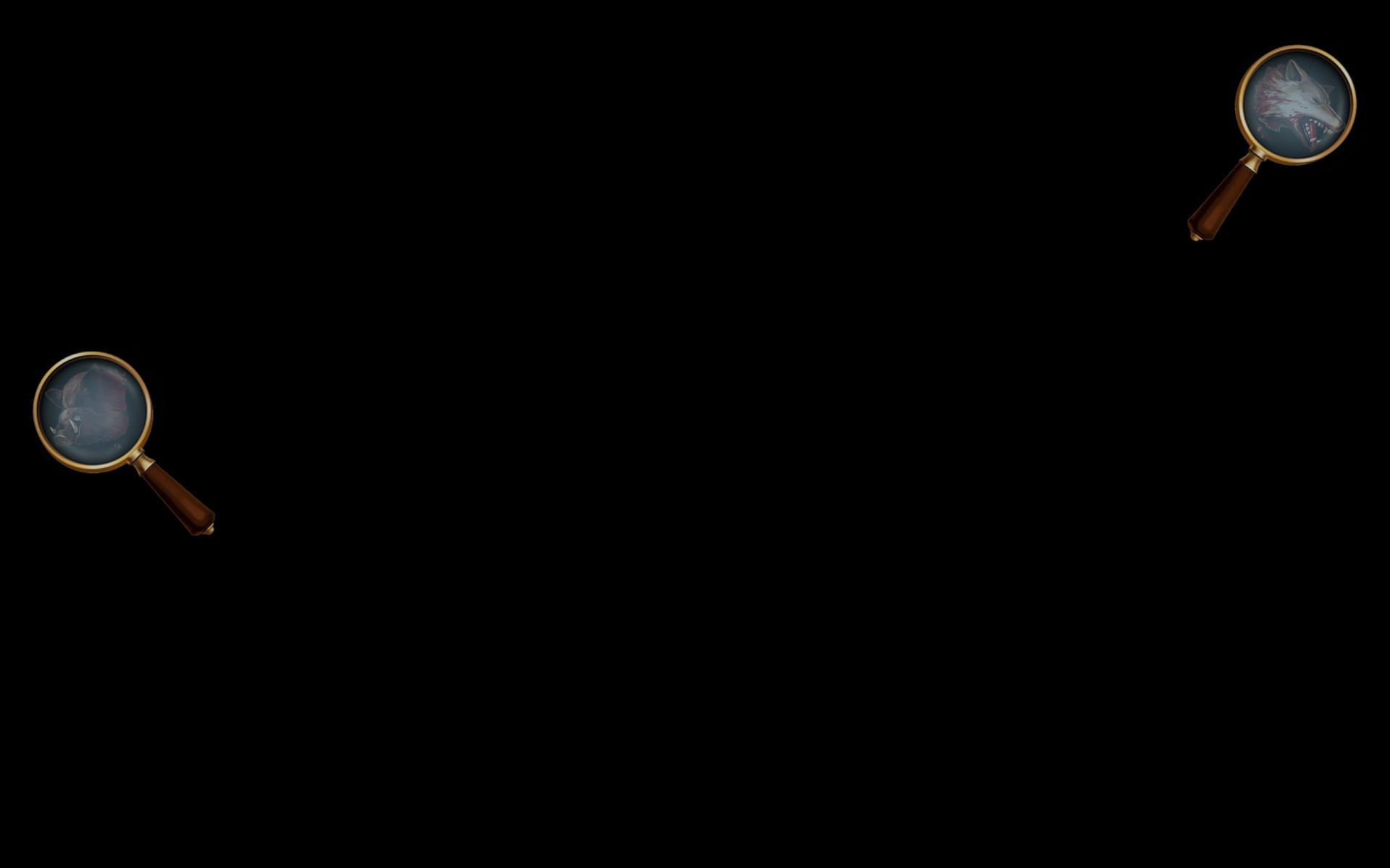 Magnifier