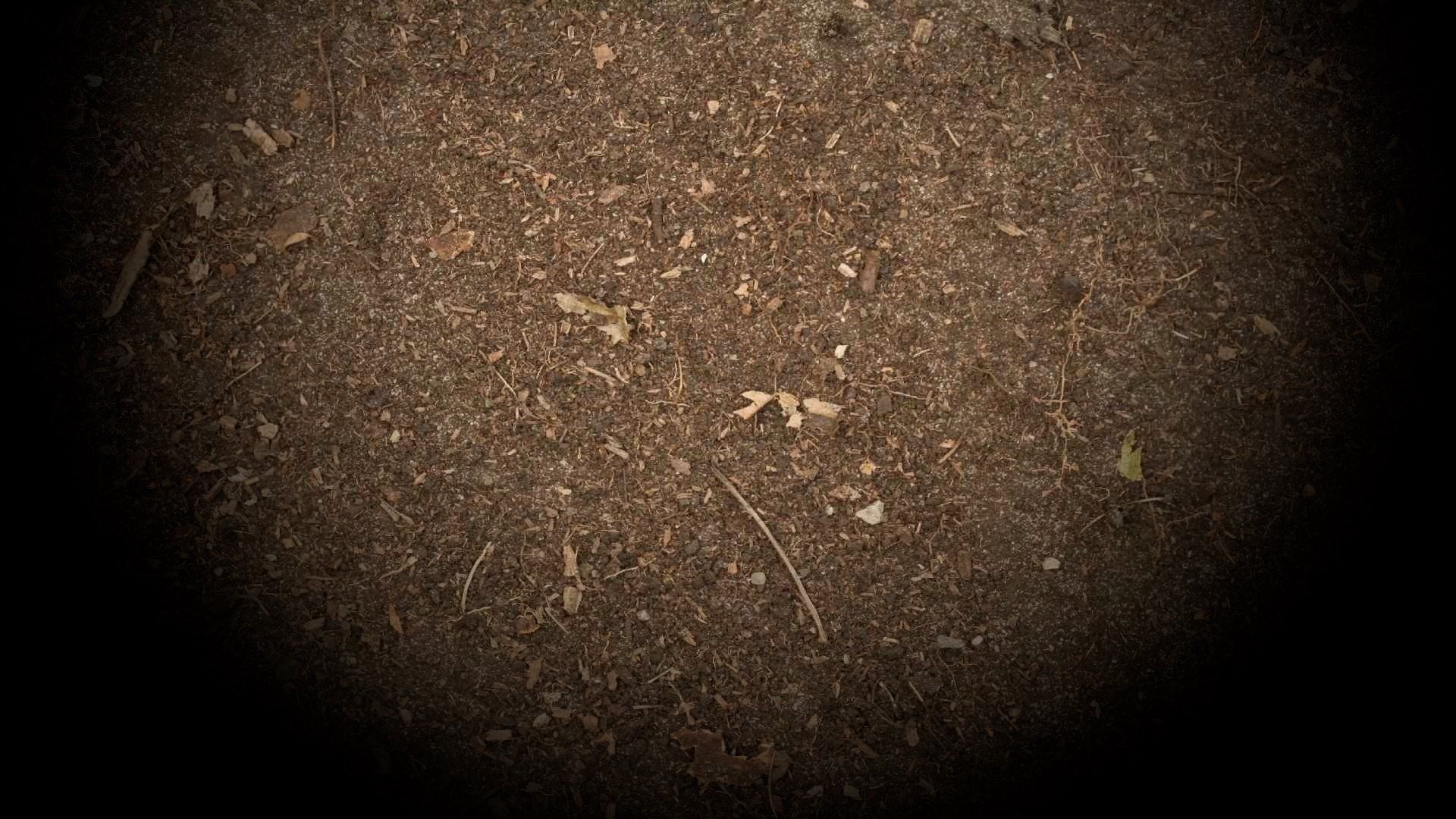 Dirt (Profile Background)