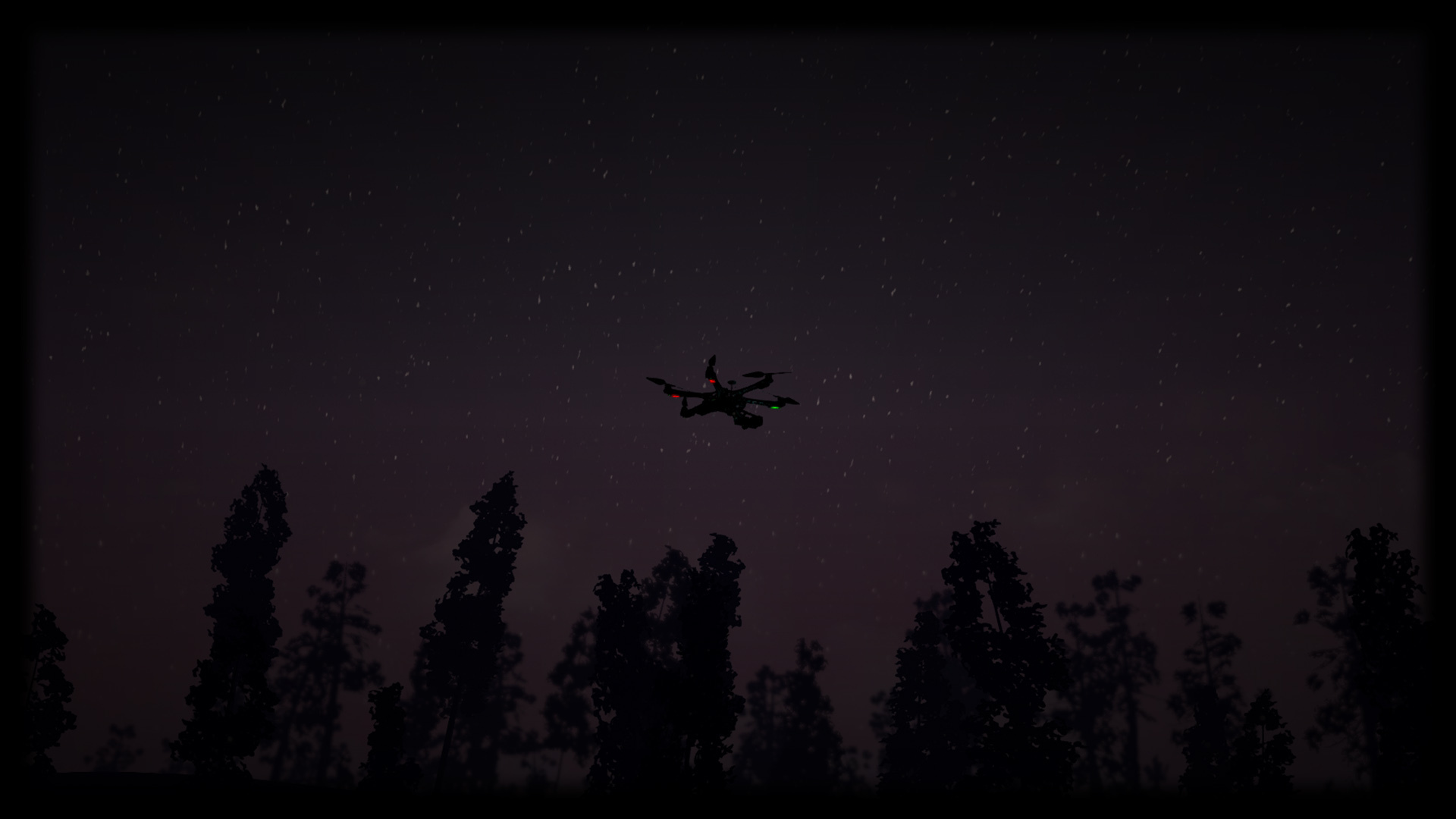At night over the forest