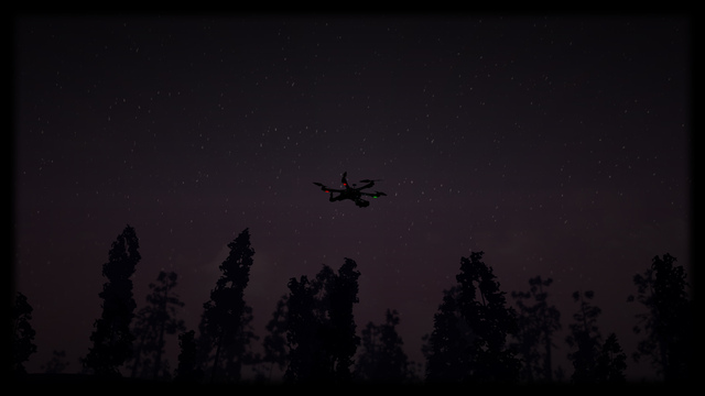 At night over the forest