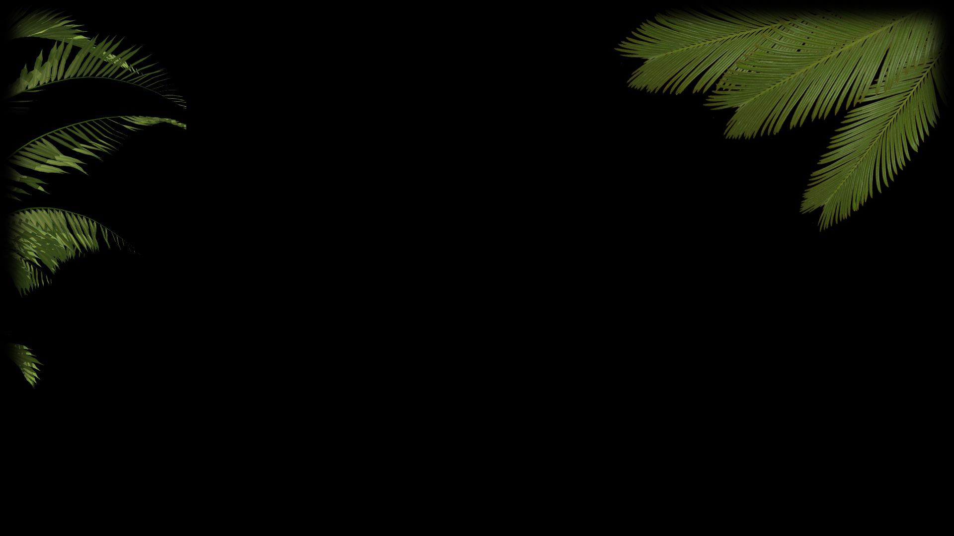 Palm Leaves