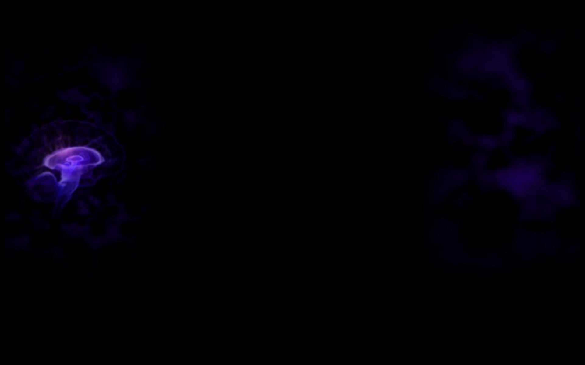 Transient