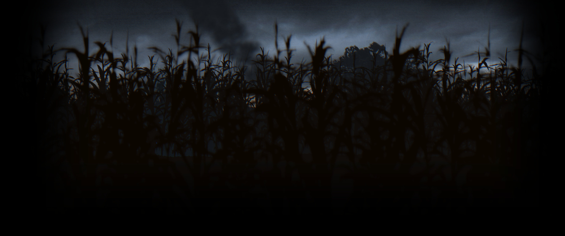 Cornfield