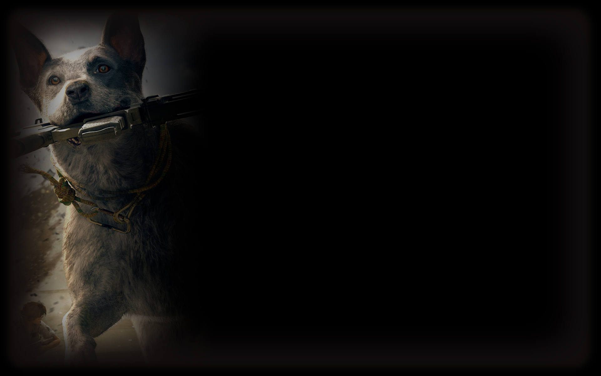 Boomer (Profile Background)