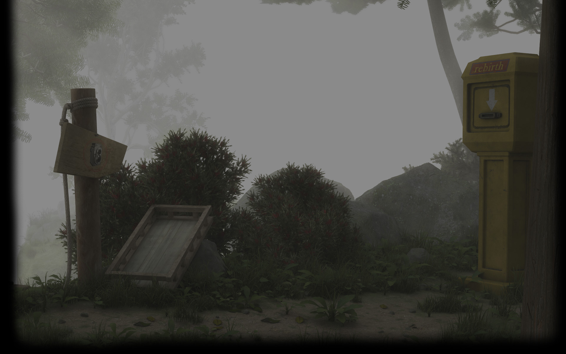 Foggy Cliffside