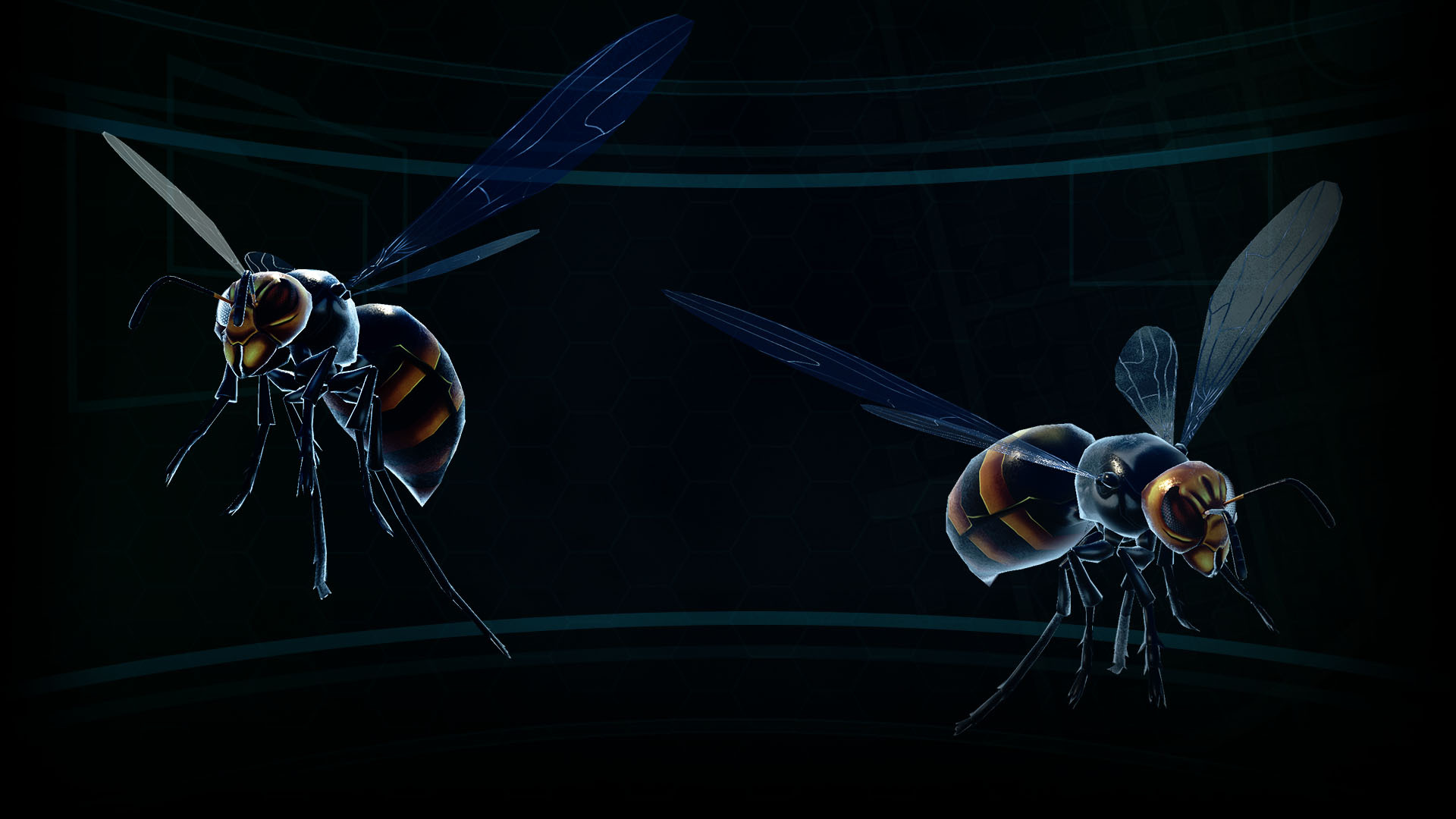 Giant flying insects