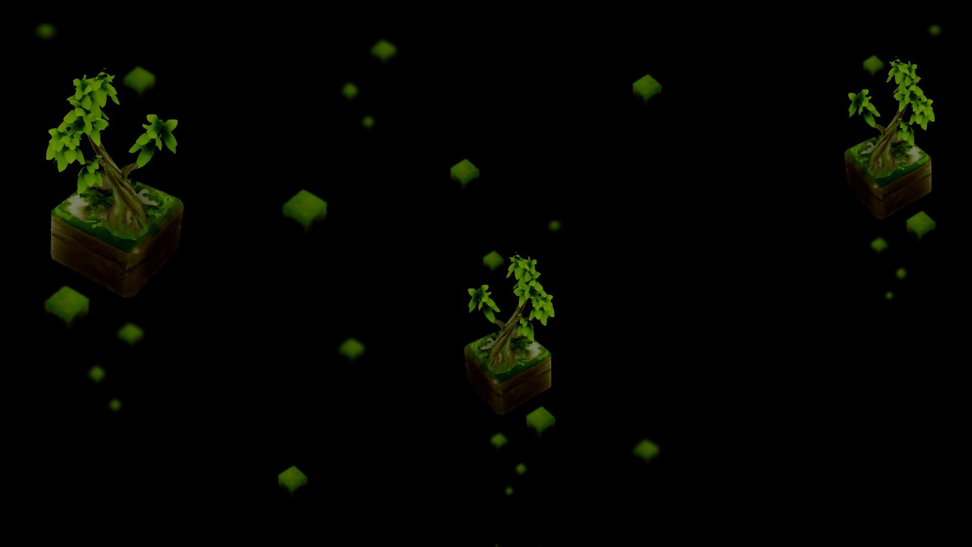 Bonsai Tree