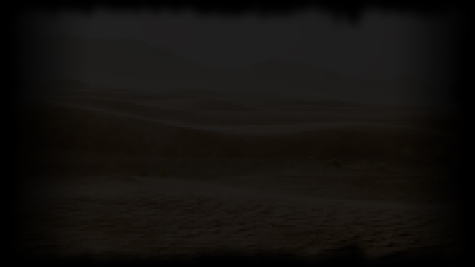 Wasteland