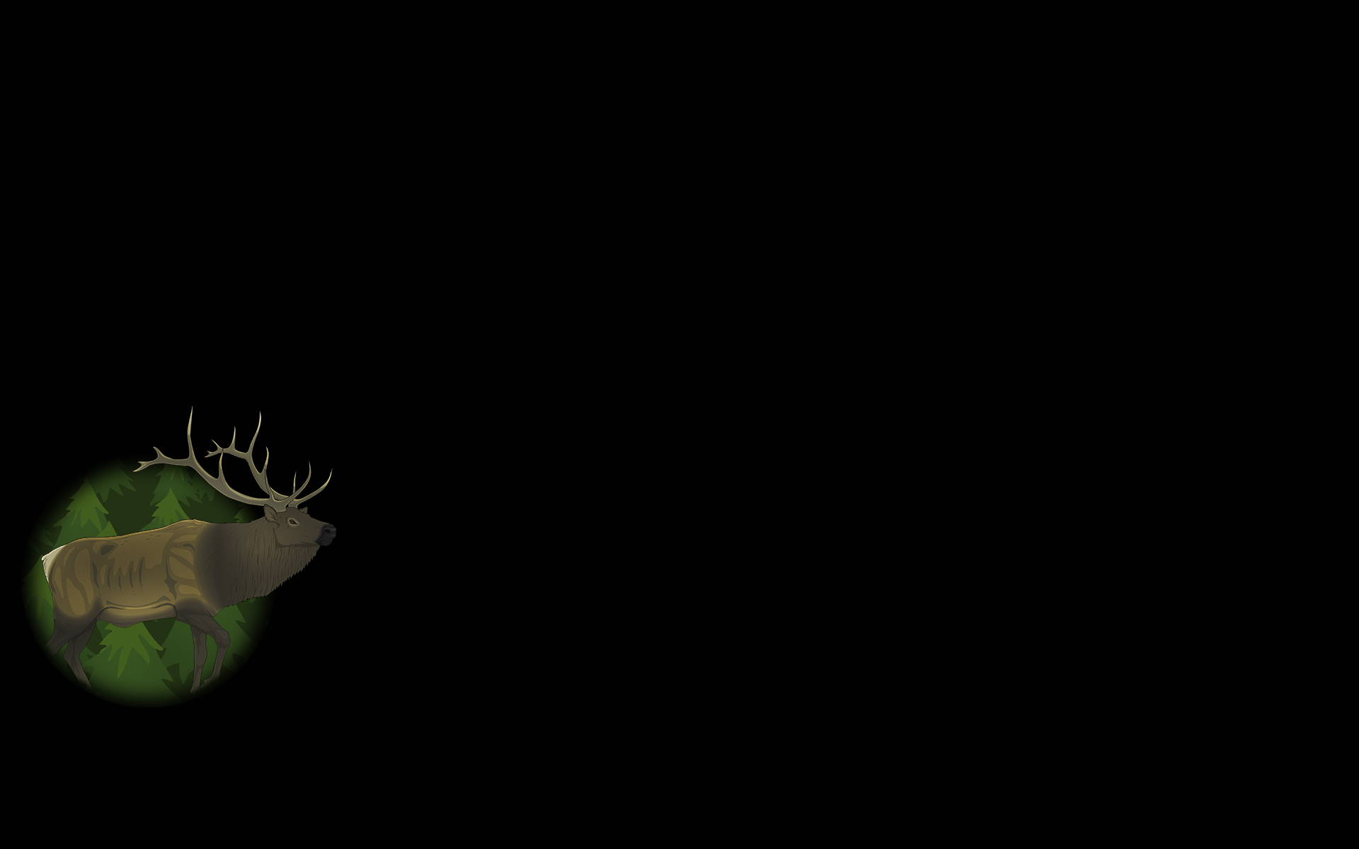 The Forest