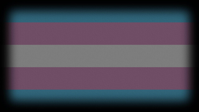 Transgender Pride!