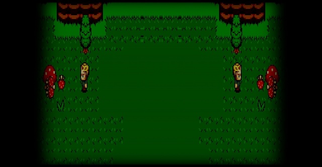 Mushrooms are Everywhere!