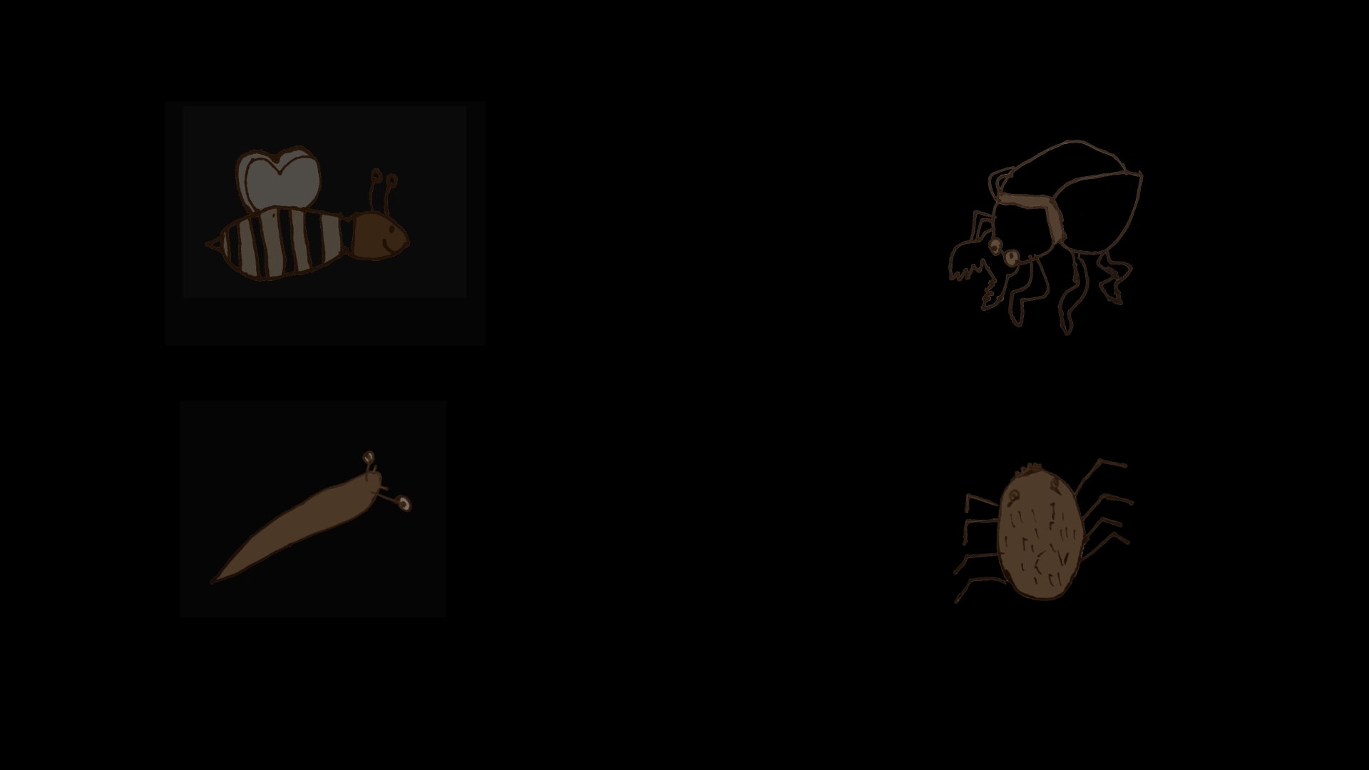 Insects