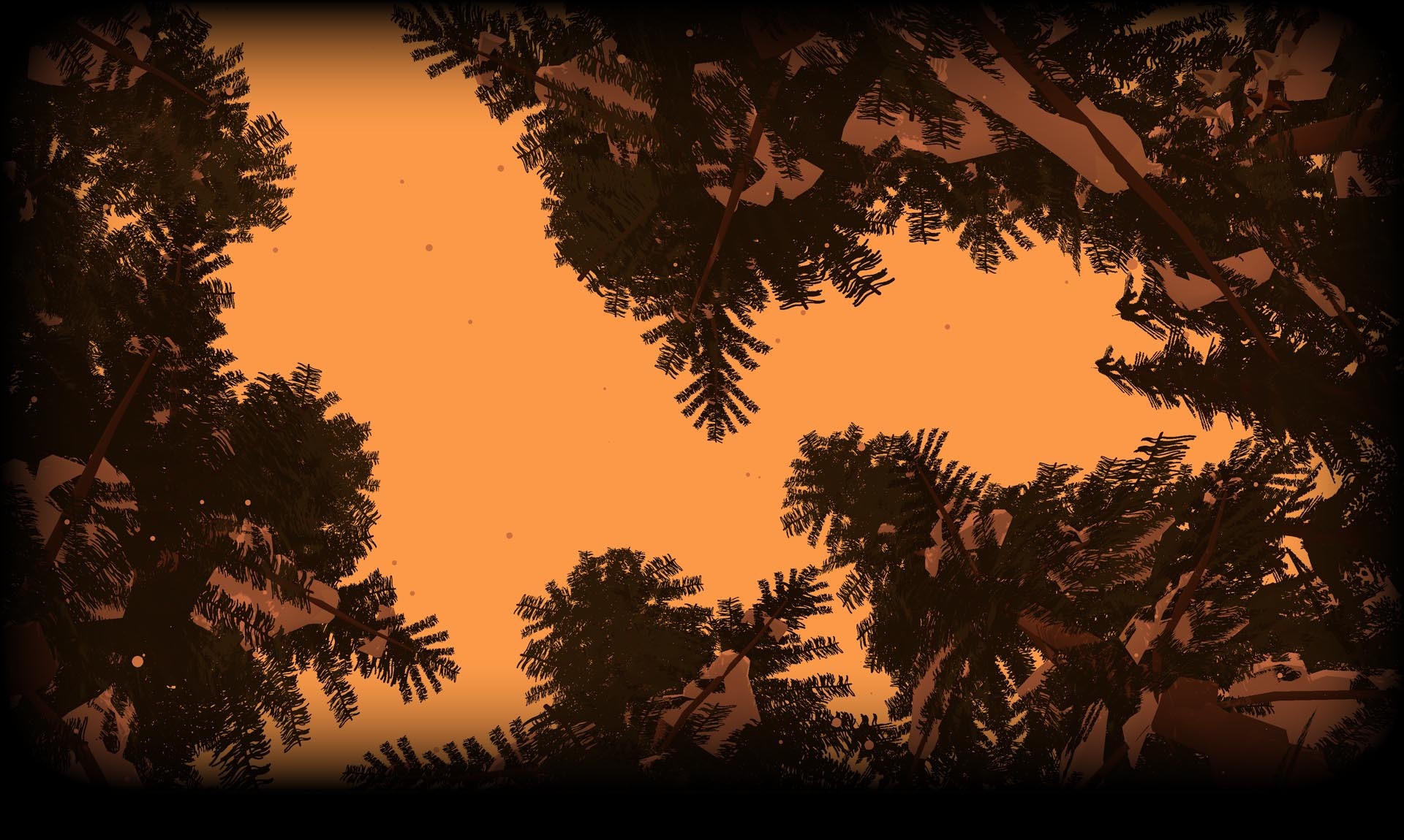 Wind in the woods