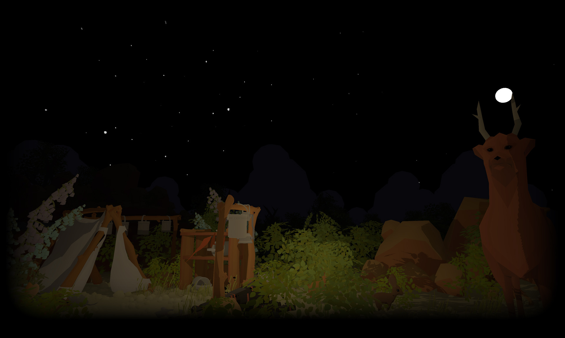 Moonlight in the desert