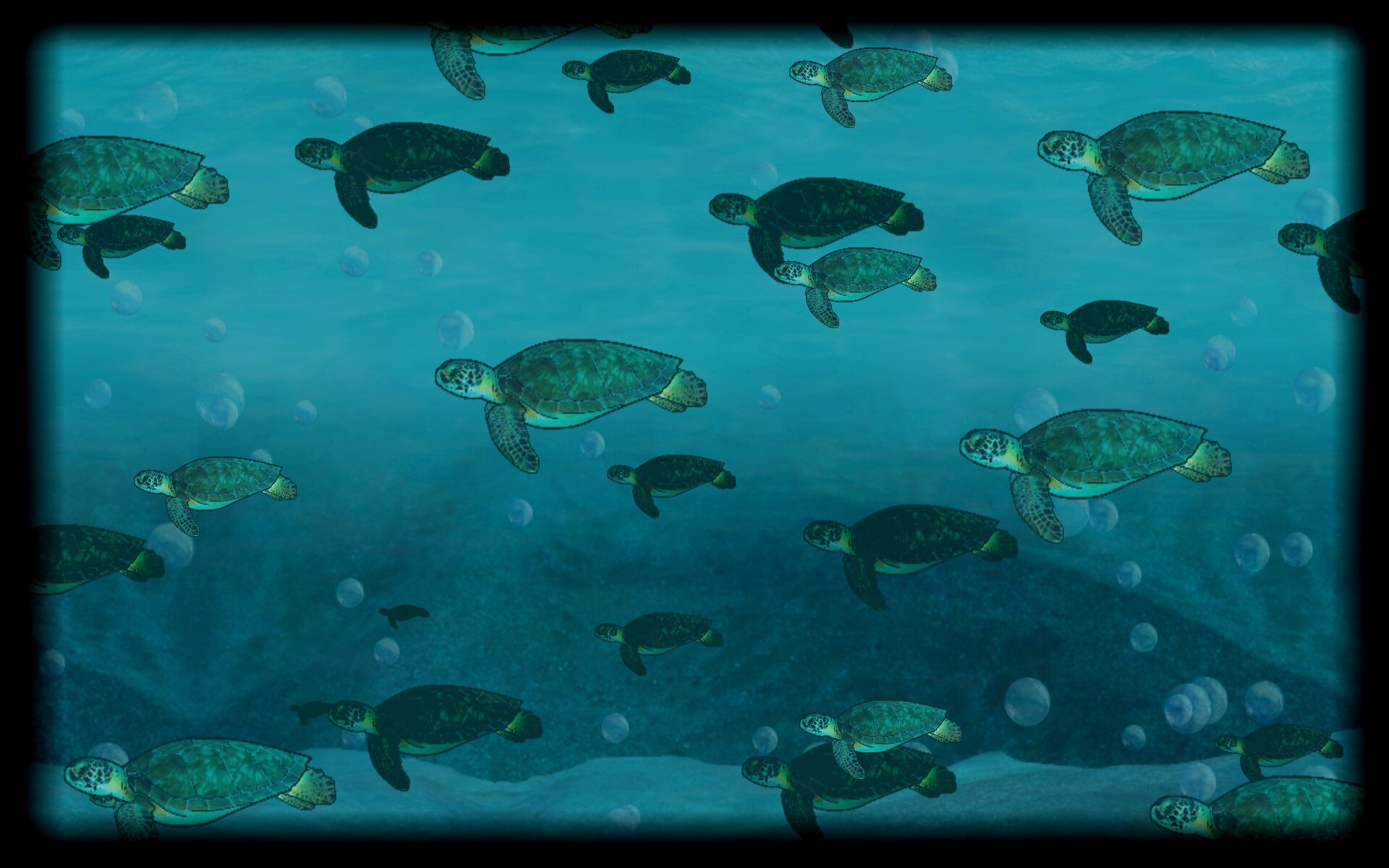 Turtles