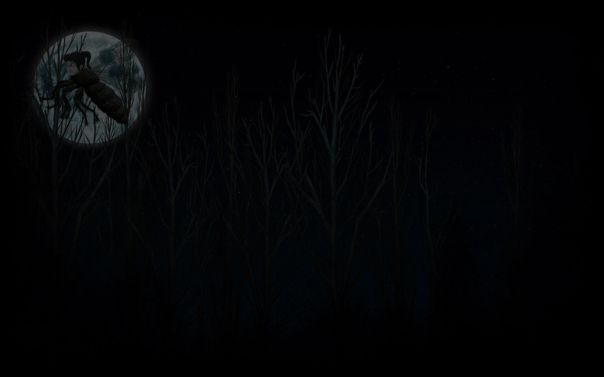 Forest night