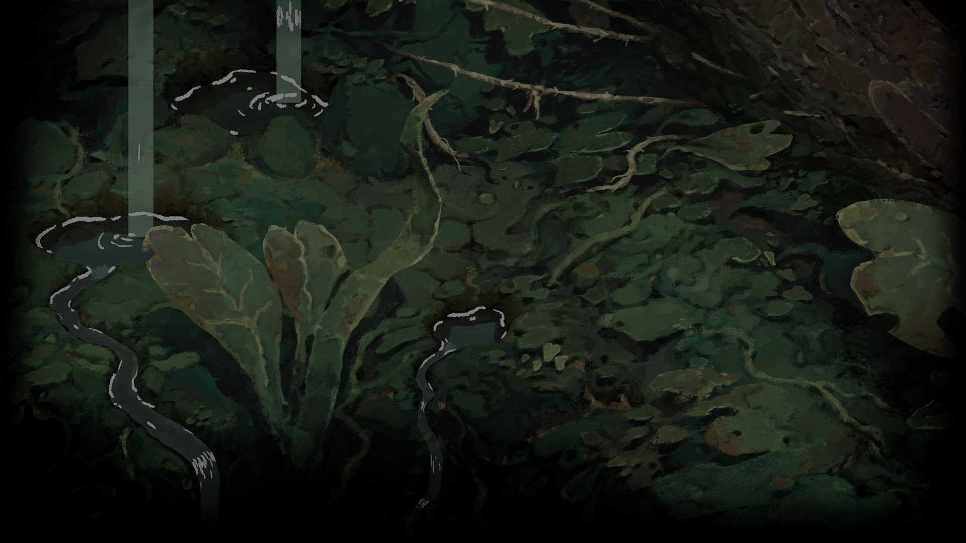 Underbrush