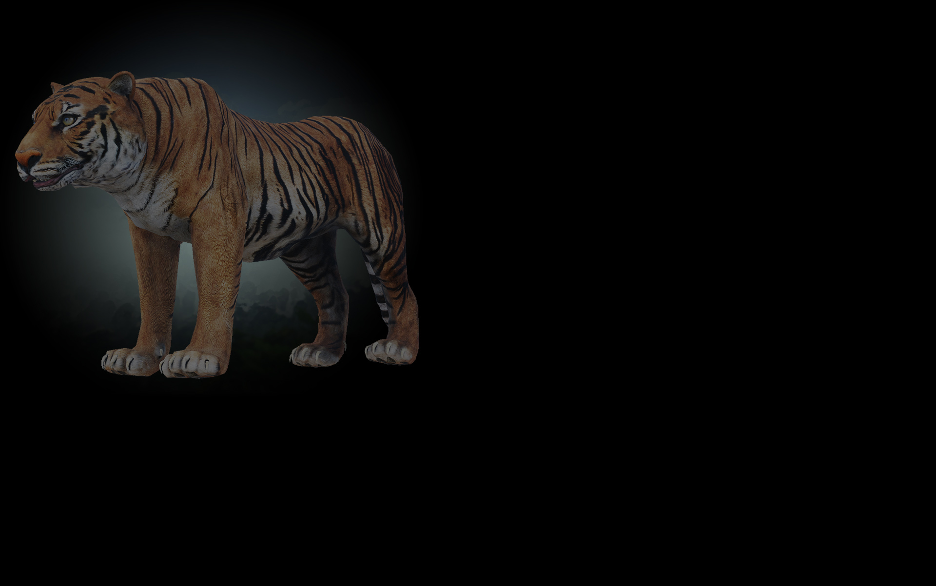 Bengal Tiger