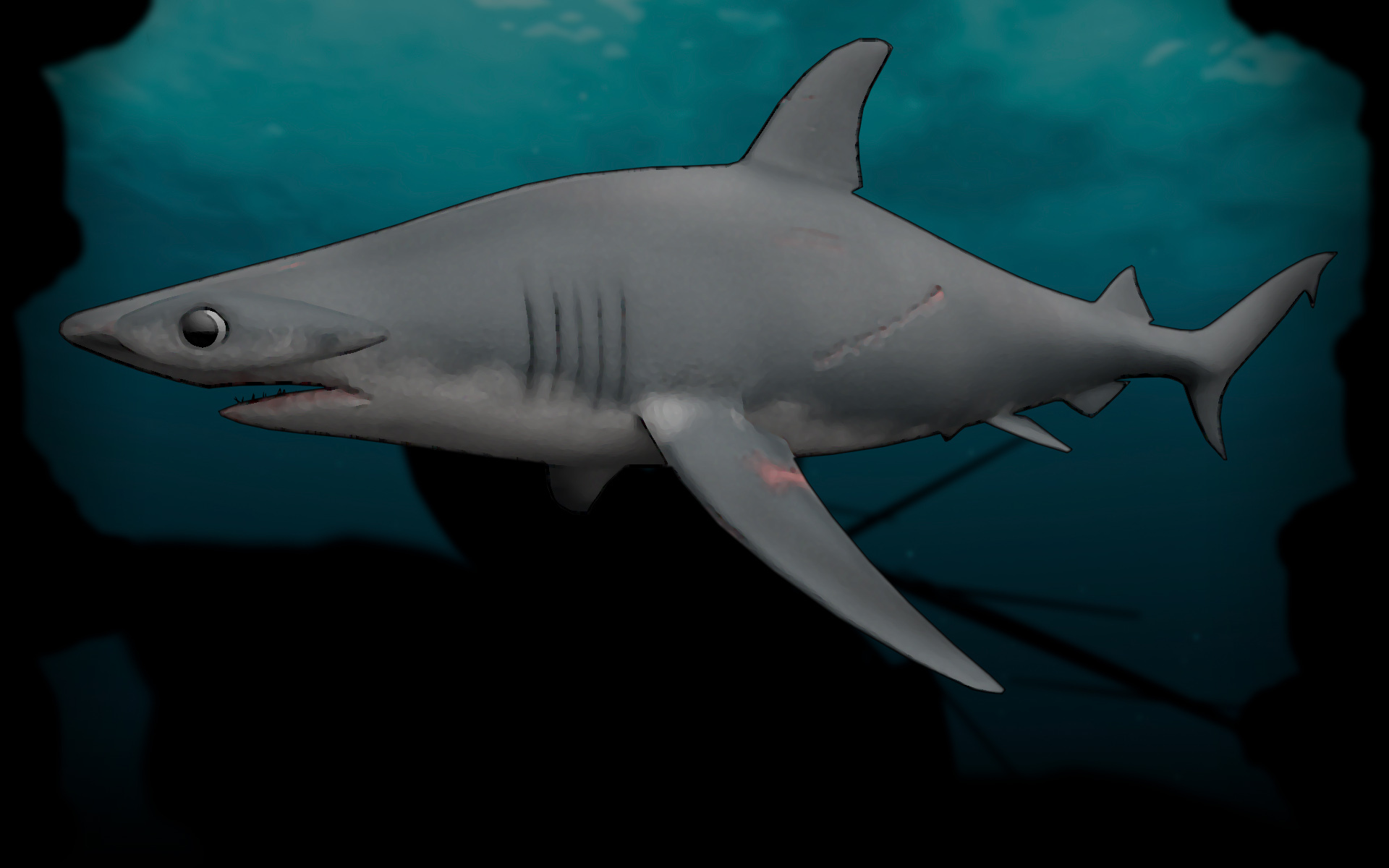 Hammerhead Shark