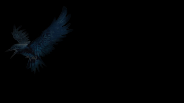 Raven