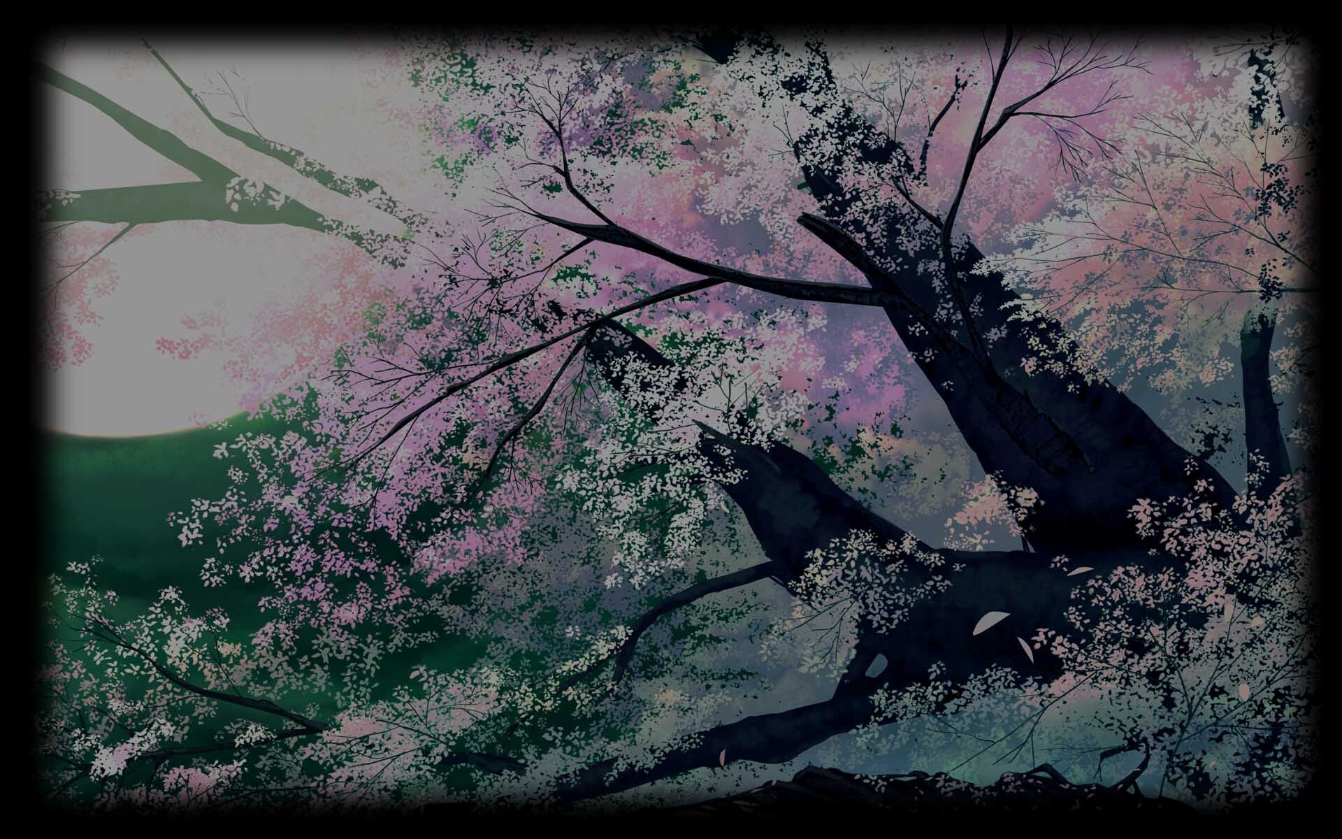 Sakura no Mori † Dreamers•Tree